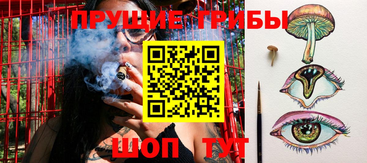Псилоцибиновые грибы Magic Shrooms Конаково