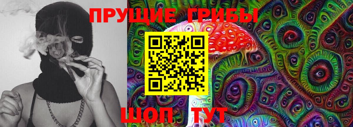 Галлюциногенные грибы Psilocybine cubensis  Вход с VPN  Конаково 